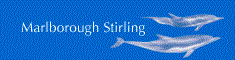 ms.gif (3406 bytes)